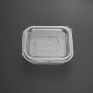 Gıda Blister Ambalaj