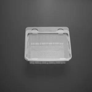 Gıda Blister Ambalaj