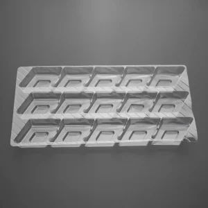 Gıda Blister Ambalaj